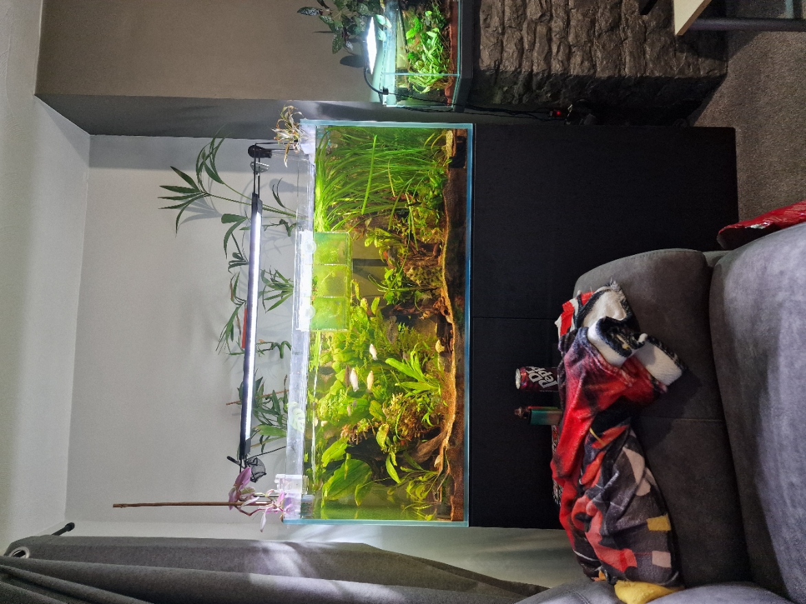 This is my beautiful living room!